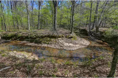 944 Cross Creek Road, Ridgeway, SC 29130 - Photo 59