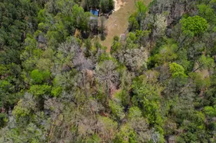 944 Cross Creek Rd, Ridgeway, SC 29130 - Photo 81