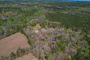 944 Cross Creek Rd, Ridgeway, SC 29130 - Photo 89