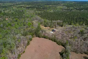 944 Cross Creek Rd, Ridgeway, SC 29130 - Photo 87