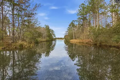 237 Peninsula Way, Columbia, SC 29229 - Photo 61