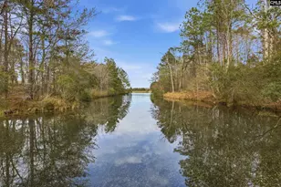 237 Peninsula Way, Columbia, SC 29229 - Photo 61