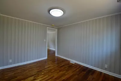 827 Dusty Road, Cope, SC 29038 - Photo 5