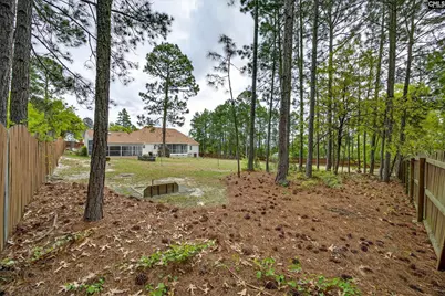 208 Willow Forks Rd, Lexington, SC 29073 - Photo 47