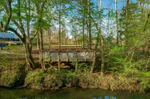 1067 Arbor Stroll Way, Lexington, SC 29072 - Photo 67