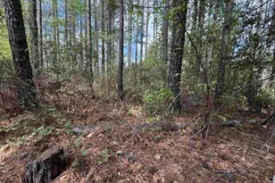 116 High Pointe Dr, Blythewood, SC 29016 - Photo 1