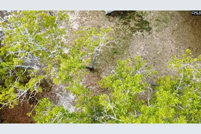 134 Wilma Ann Drive, Lexington, SC 29073 - Photo 13