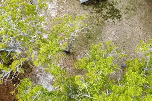 134 Wilma Ann Dr, Lexington, SC 29073 - Photo 13