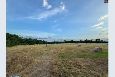 0 Shealy Road Lot 3 #3, Batesburg, SC 29006 - Photo 13