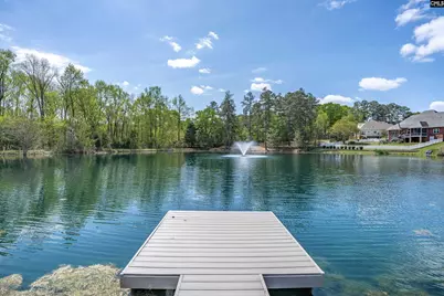 116 Cottingham Court, Lexington, SC 29072 - Photo 61