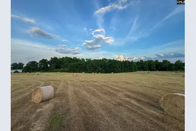 0 Shealy Road Lot 7 #6, Batesburg, SC 29006 - Photo 15