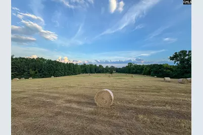 0 Shealy Road Lot 7 #6, Batesburg, SC 29006 - Photo 13