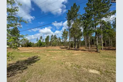 0 Perry Taylor Road 3.96 Ac, Leesville, SC 29070 - Photo 3