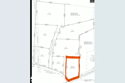 0 Perry Taylor Road 3.96 Ac, Leesville, SC 29070 - Photo 5