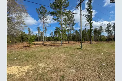0 Perry Taylor Road 3.96 Ac, Leesville, SC 29070 - Photo 1