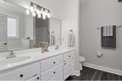 408 Hollenbeck Road, Irmo, SC 29063 - Photo 23