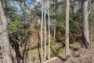 408 Hollenbeck Rd, Irmo, SC 29063 - Photo 41