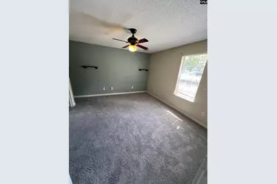 10 Piper Lane, Elgin, SC 29045 - Photo 9