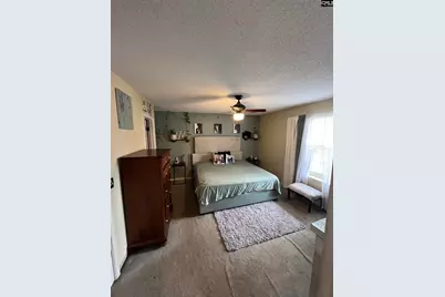 10 Piper Lane, Elgin, SC 29045 - Photo 9