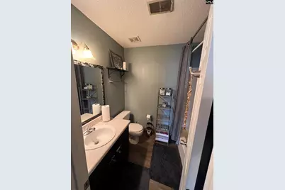 10 Piper Lane, Elgin, SC 29045 - Photo 11