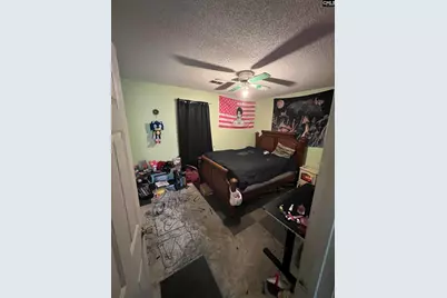 10 Piper Lane, Elgin, SC 29045 - Photo 15