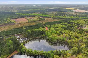 412 Pond Bluff Rd, North, SC 29112 - Photo 7