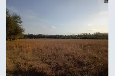 3244 Highway 1 N, Cassatt, SC 29032 - Photo 3