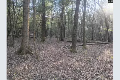 3244 Highway 1 N, Cassatt, SC 29032 - Photo 5