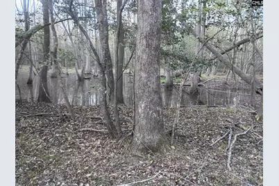 3244 Highway 1 N, Cassatt, SC 29032 - Photo 11