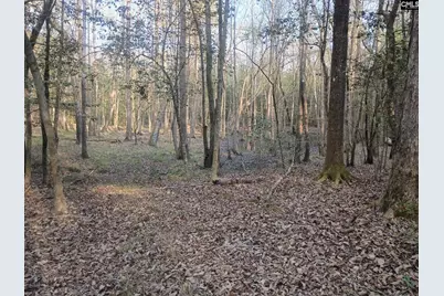 3244 Highway 1 N, Cassatt, SC 29032 - Photo 13