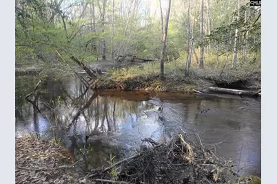 3244 Highway 1 N, Cassatt, SC 29032 - Photo 9