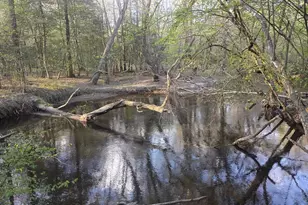 3244 Hwy 1 N, Cassatt, SC 29032 - Photo 1