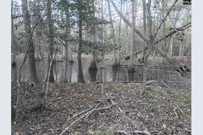 3244 Highway 1 N, Cassatt, SC 29032 - Photo 17