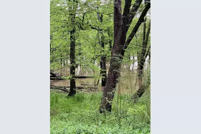 3244 Highway 1 N, Cassatt, SC 29032 - Photo 7