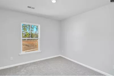 206 Boseman Road, Irmo, SC 29063 - Photo 33