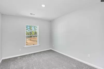 206 Boseman Road, Irmo, SC 29063 - Photo 27