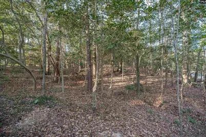 1525 Riviera Drive, West Columbia, SC 29169 - Photo 37