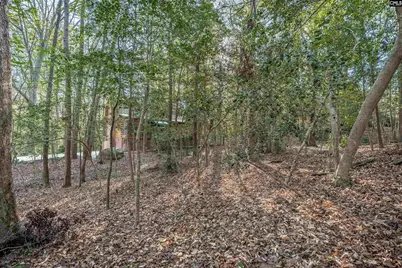 1525 Riviera Drive, West Columbia, SC 29169 - Photo 49