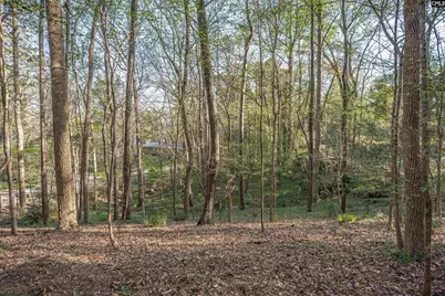 1525 Riviera Drive, West Columbia, SC 29169 - Photo 45