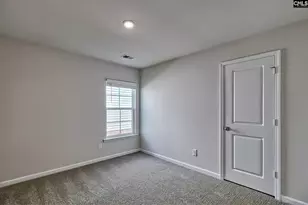 207 Calm Citadel Dr, Pelion, SC 29123 - Photo 15