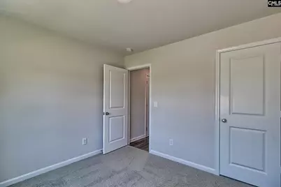 207 Calm Citadel Drive, Pelion, SC 29123 - Photo 19