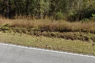 3081 Congaree Fords, Gadsden, SC 29052 - Photo 1