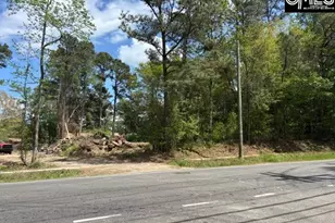 2450 Alpine Rd, Columbia, SC 29223 - Photo 1