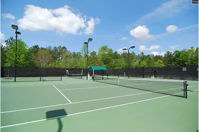 209 High Pointe Drive, Blythewood, SC 29016 - Photo 61