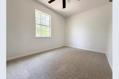 1 Newcourt Place, Columbia, SC 29229 - Photo 17
