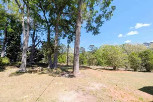 256 Waterford Dr, Columbia, SC 29203 - Photo 37