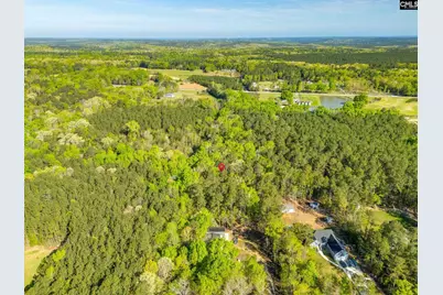 1103 Hopewell Church Road, Irmo, SC 29063 - Photo 5