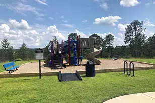 3699 Stedding Pl, Lexington, SC 29073 - Photo 5