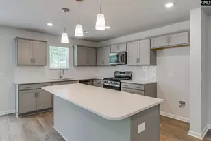 3699 Stedding Pl, Lexington, SC 29073 - Photo 9