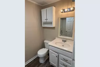 477 Bushberry Road, Pelion, SC 29123 - Photo 7